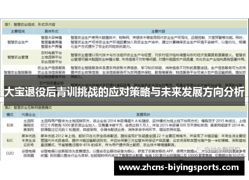 大宝退役后青训挑战的应对策略与未来发展方向分析